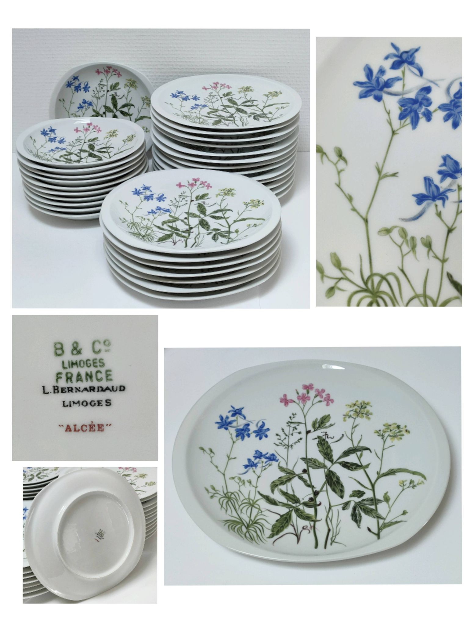 Six flat plates Alcée model porcelain Bernardaud Limoges floral decoration