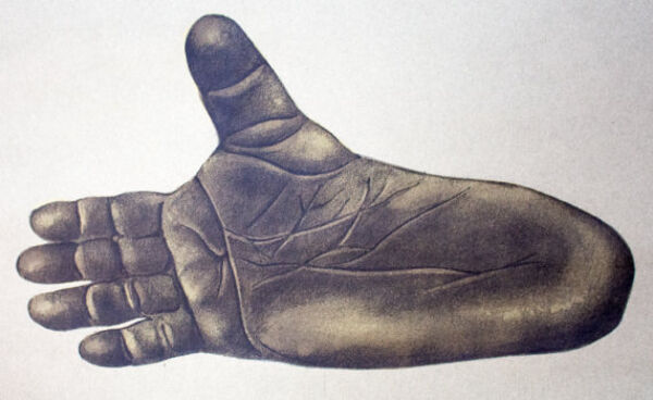 Affiche murale de l’école de Jung-Koch-Quentell ''gorille'' 1968