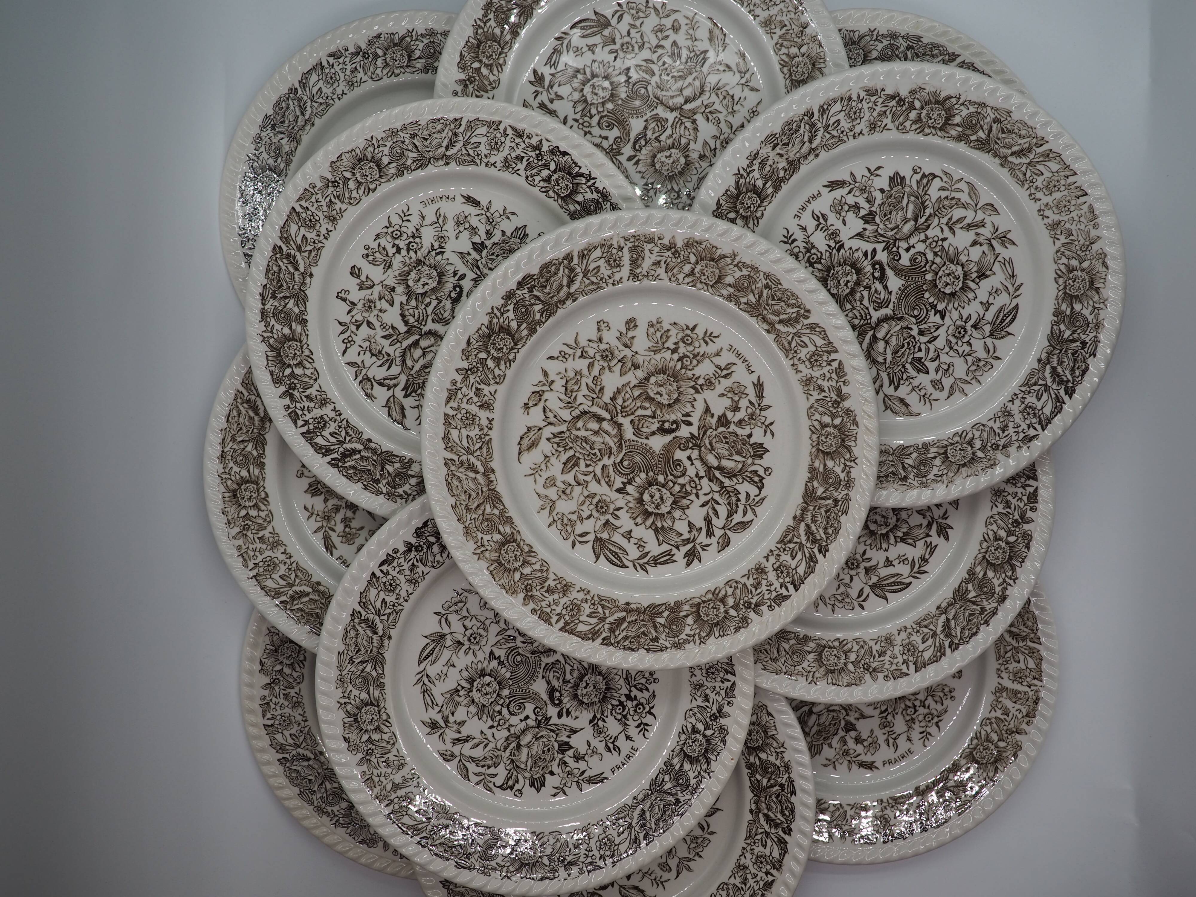 Set of 12 white plates - Brown floral patterns, vintage prairie charm