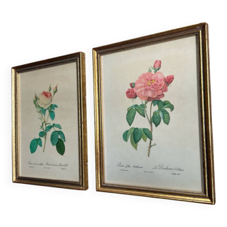 Pair of gilded wooden botanical frames from the 70s