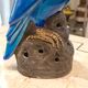 Turquoise glazed faience parrot statuette 23 cm