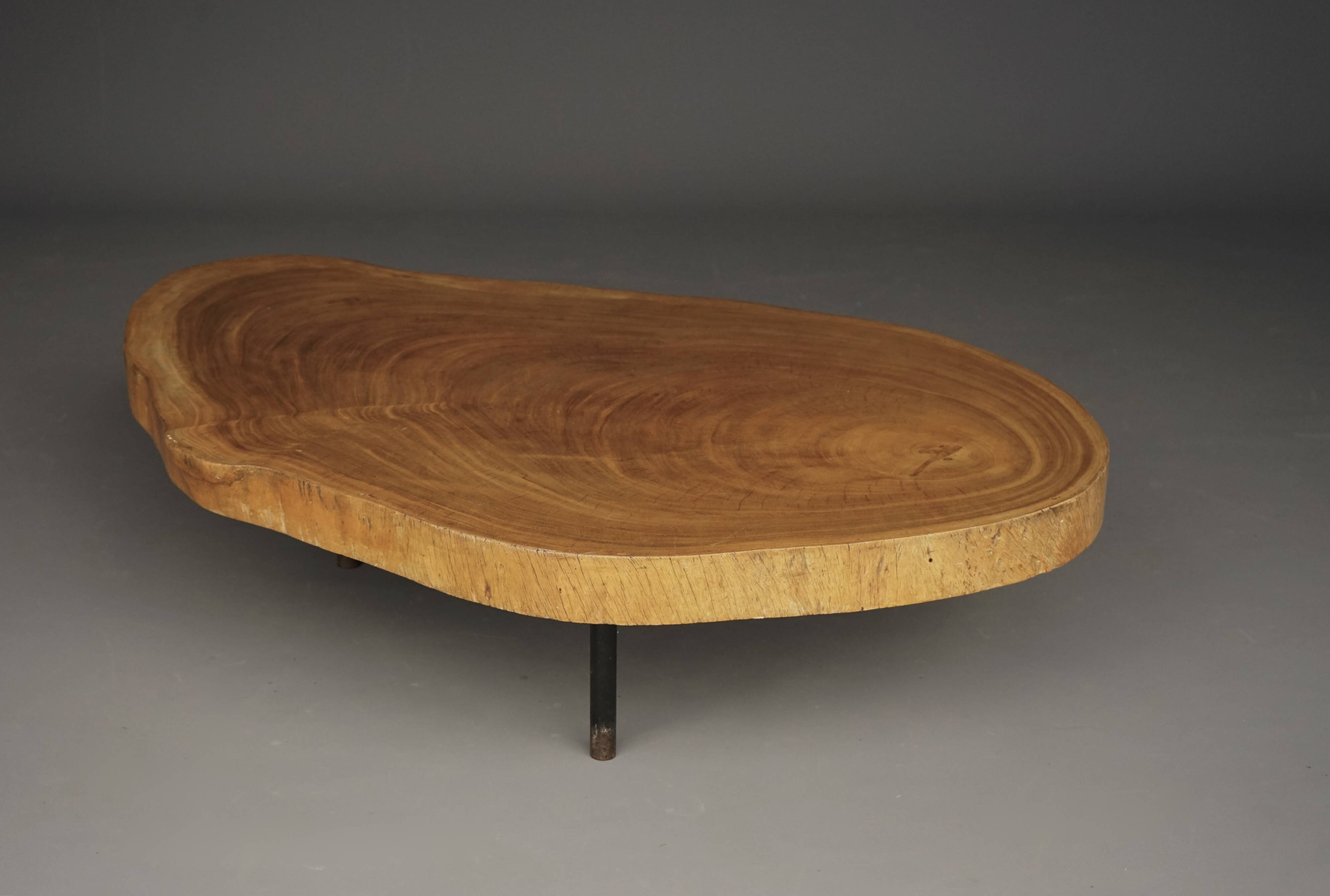 Table basse brutaliste en bois de tronc d'arbre, années 1960