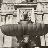 Old black and white silver photography early twentieth century
