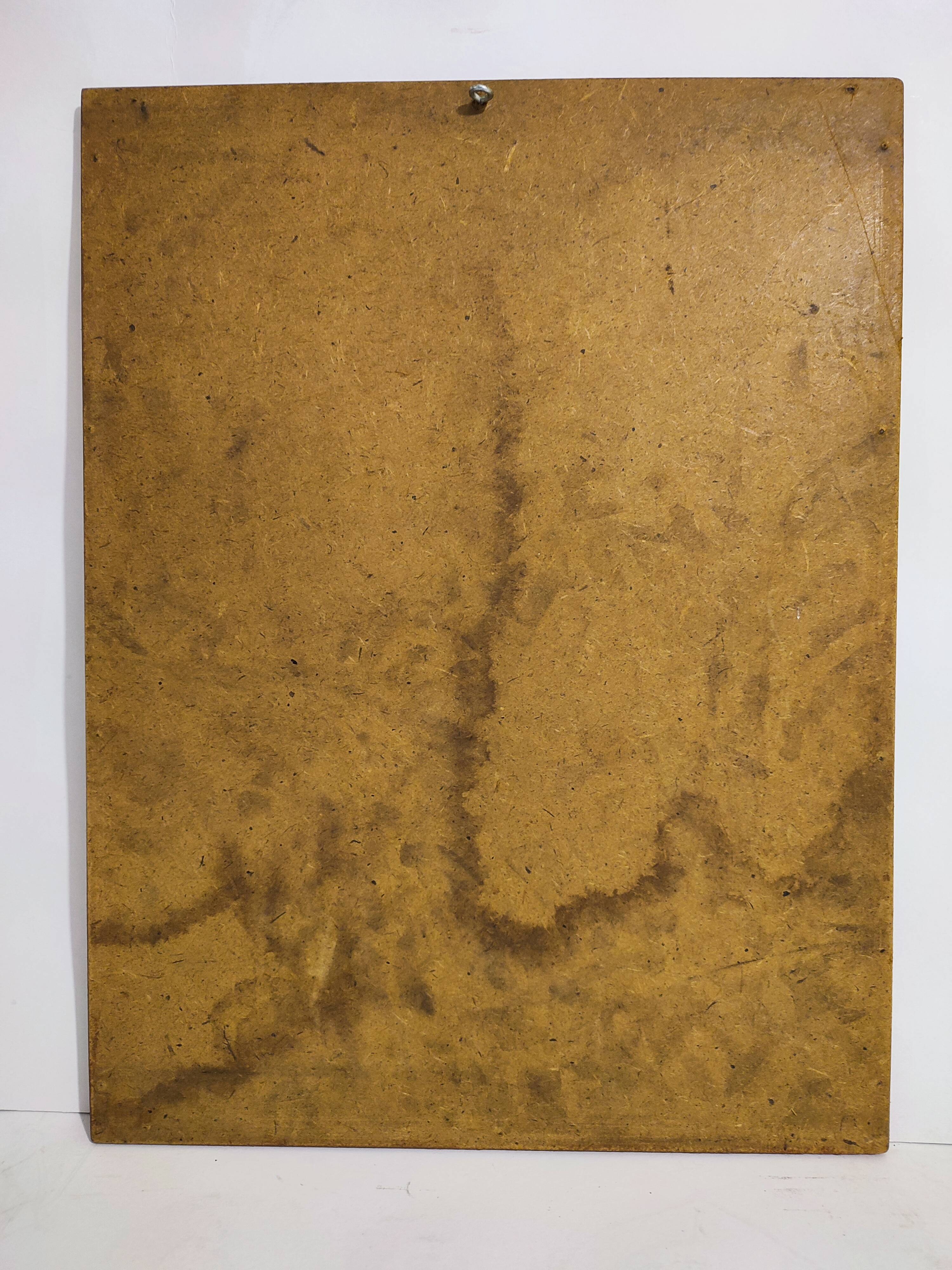 Gould lithograph enhanced hand Trogon ambiguus