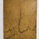 Gould lithograph enhanced hand Trogon ambiguus