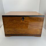 Jugendstil / Art Nouveau Box in Partly Ebonized Solid Oak, Austria, 1900