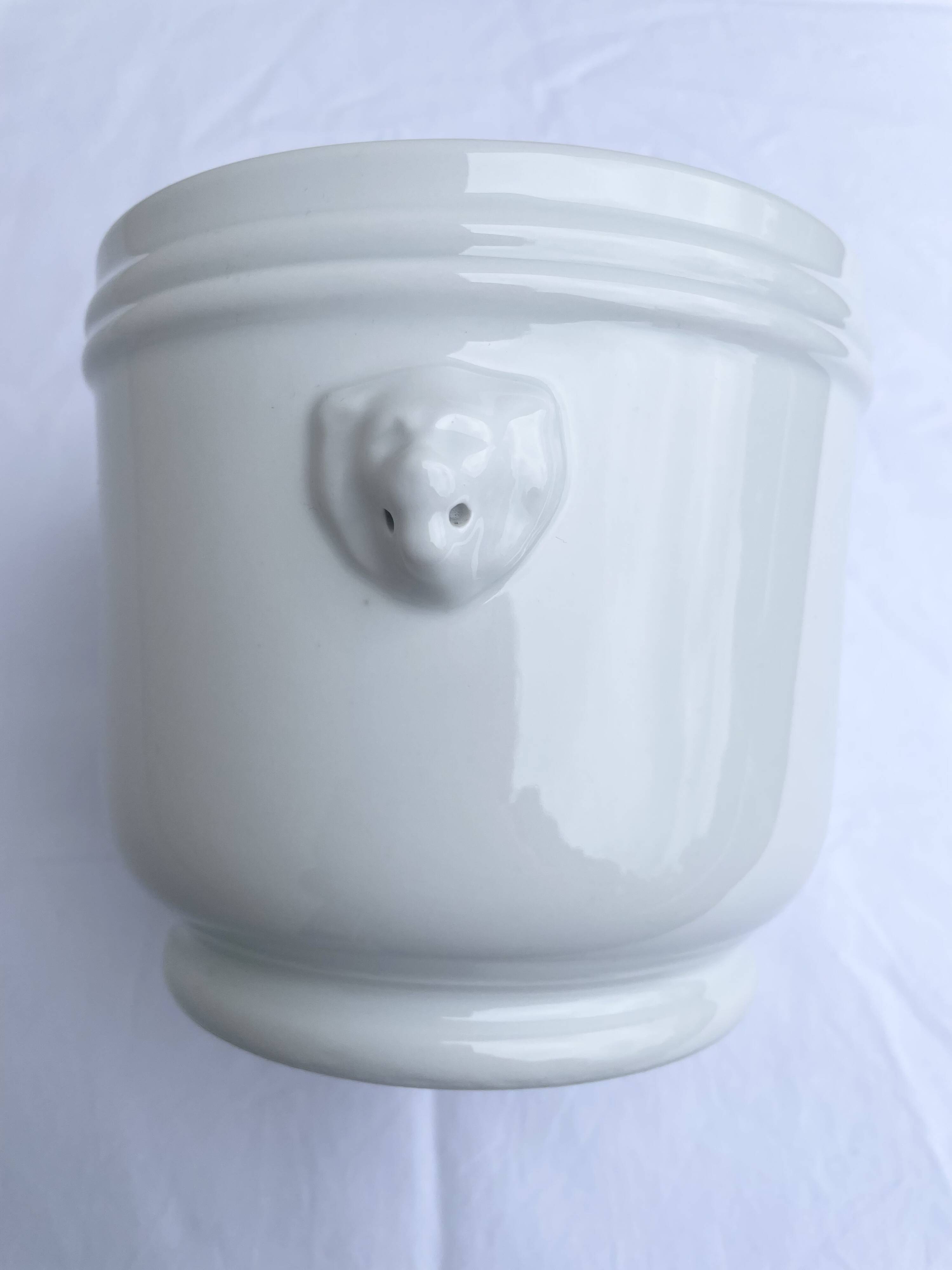 Lion head cache-pot