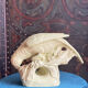 Perroquet en terre cuite Art Deco - Sevres