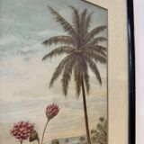Vintage Print of Lotus Flower and Palm Tree Black Frame