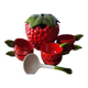 Service salade de fruits