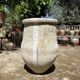 Terracotta jar