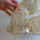 5 Glass Tulip Chandelier