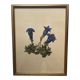 Framed flower print