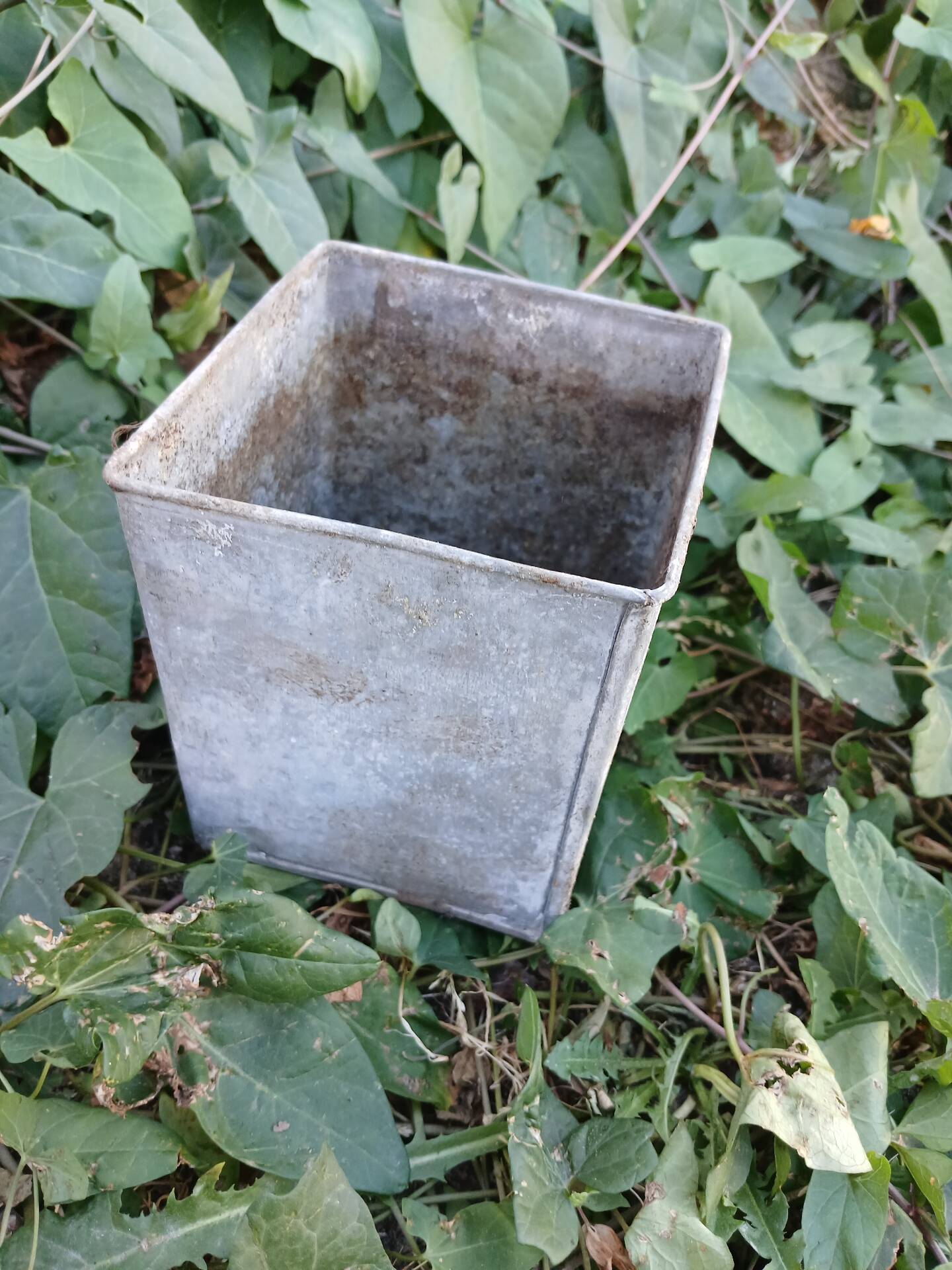 Wire mesh basket