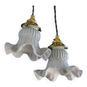 Un ensemble de deux suspensions