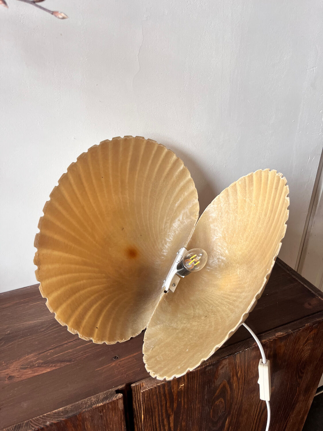 Rare shell lamp by Michel Mahé + André Cazenave for Atelier AF