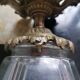 Cut glass and bronze ceiling light