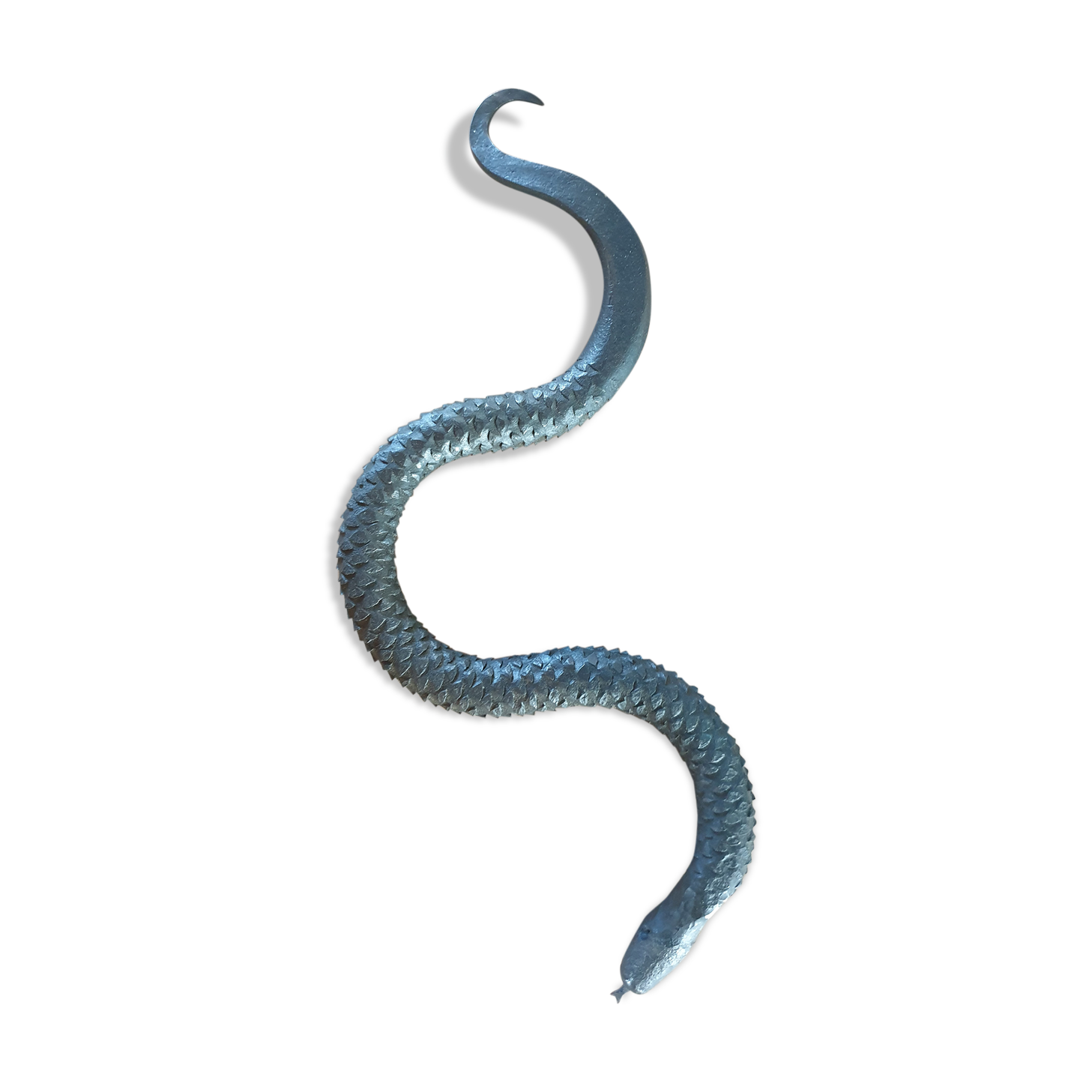 Serpent rappe a bois