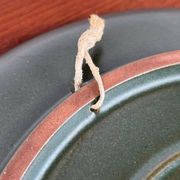 Vintage German ceramic wall plate with bird motif from Keramik Manufaktur Kupfermühle, 1970s.