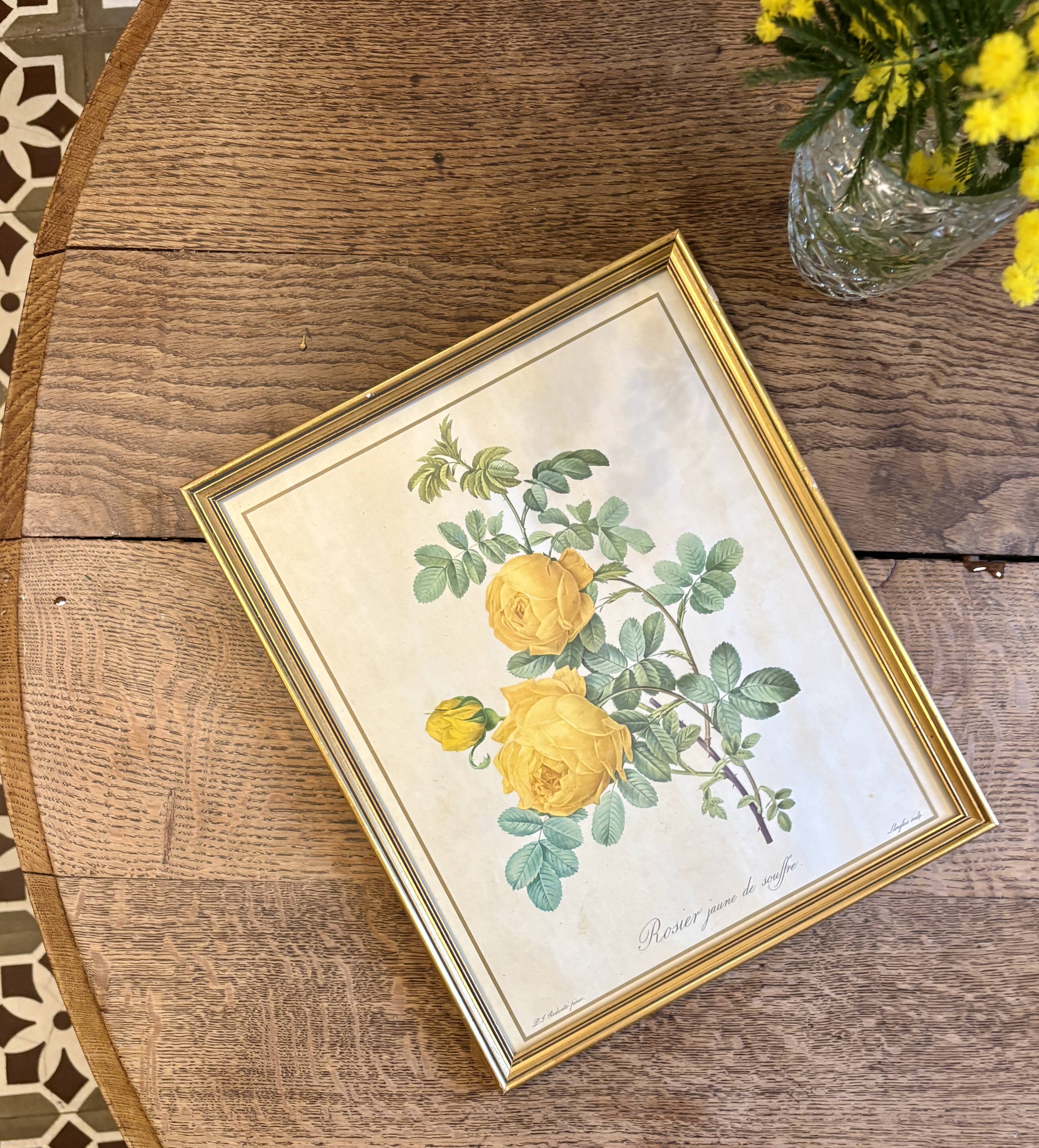 Old frame pink yellow Dreaded