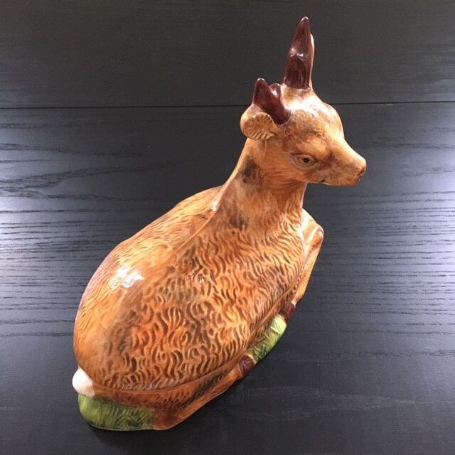 Empty pocket deer in dabbling