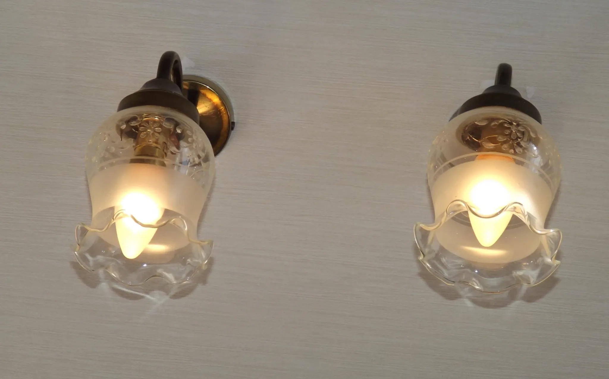 Pair of French Vintage Bronze Effect Metal Wall LIghts Floral Glass Shades