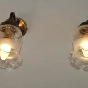 Pair of French Vintage Bronze Effect Metal Wall LIghts Floral Glass Shades