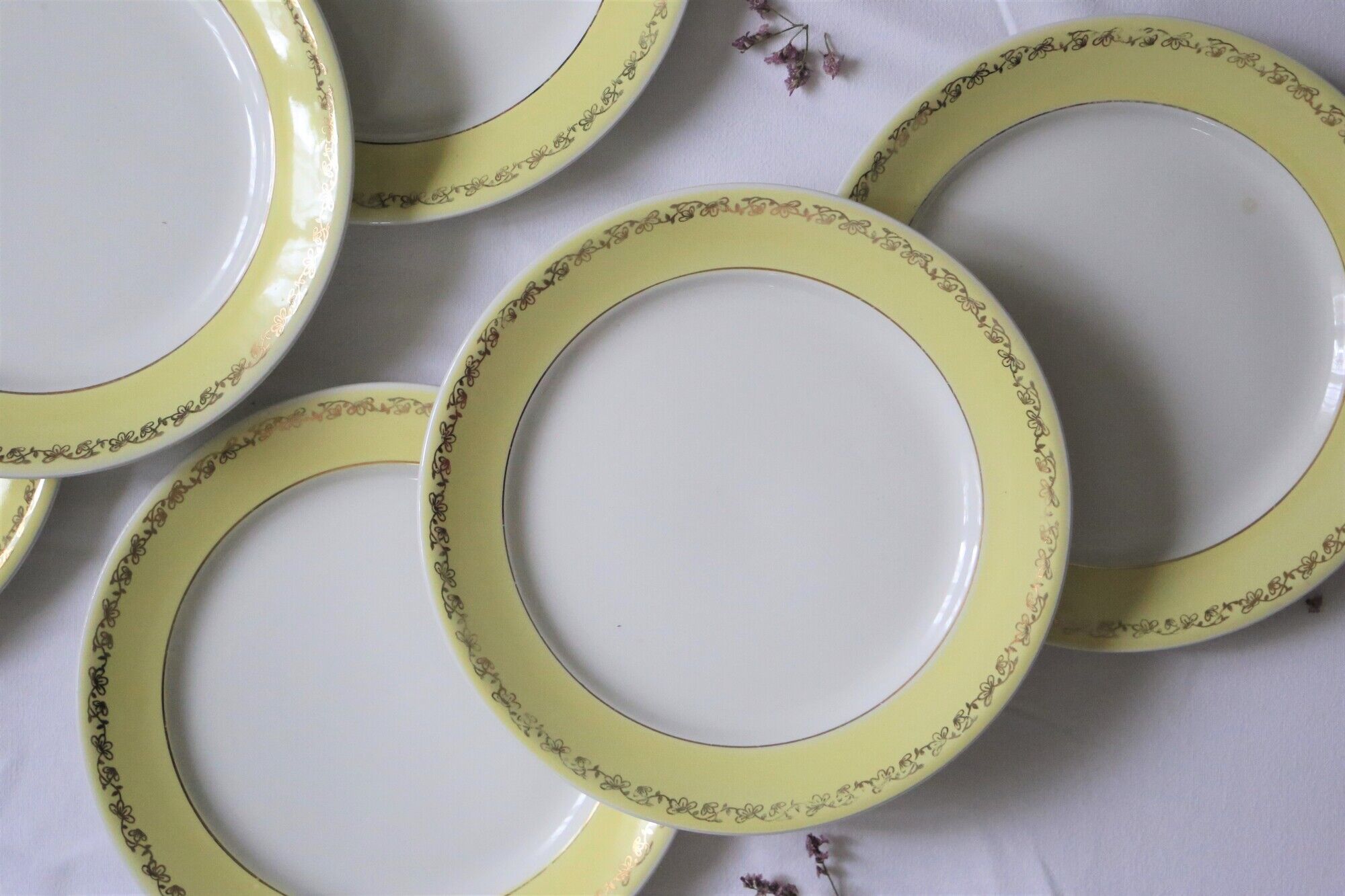Set of 6 flat plates Luneville, Libourne model, vintage French