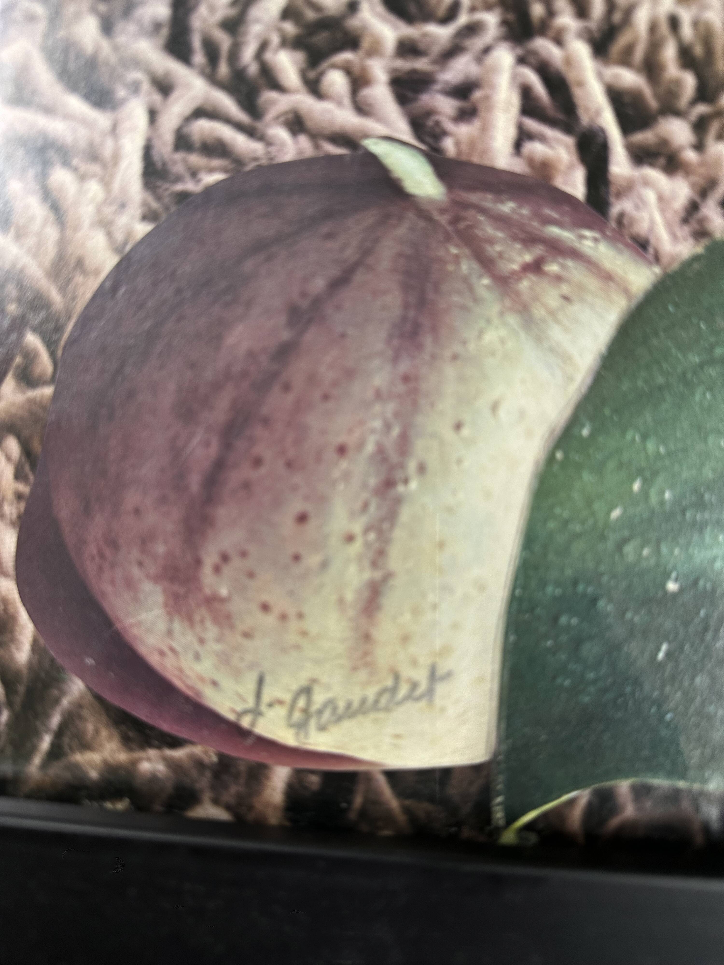 Very large framed surrealist collage by Alain Gaudet 1979