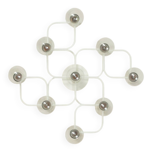 Leola Gaetano sciolari