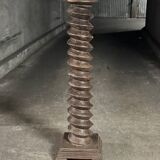 Large column screw press
