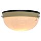 Pair of bakelite Bauhaus ceiling light or flush mounts, 1940s