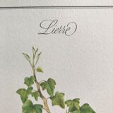 Botanical plank the Ivy