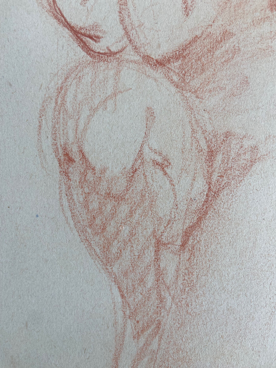 Female nude drawing