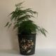 Napoleon III waste paper basket in black sheet metal and painted flowers, 19th century