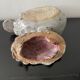 Small Rascasse box in glazed terracotta signed Rochehaut
