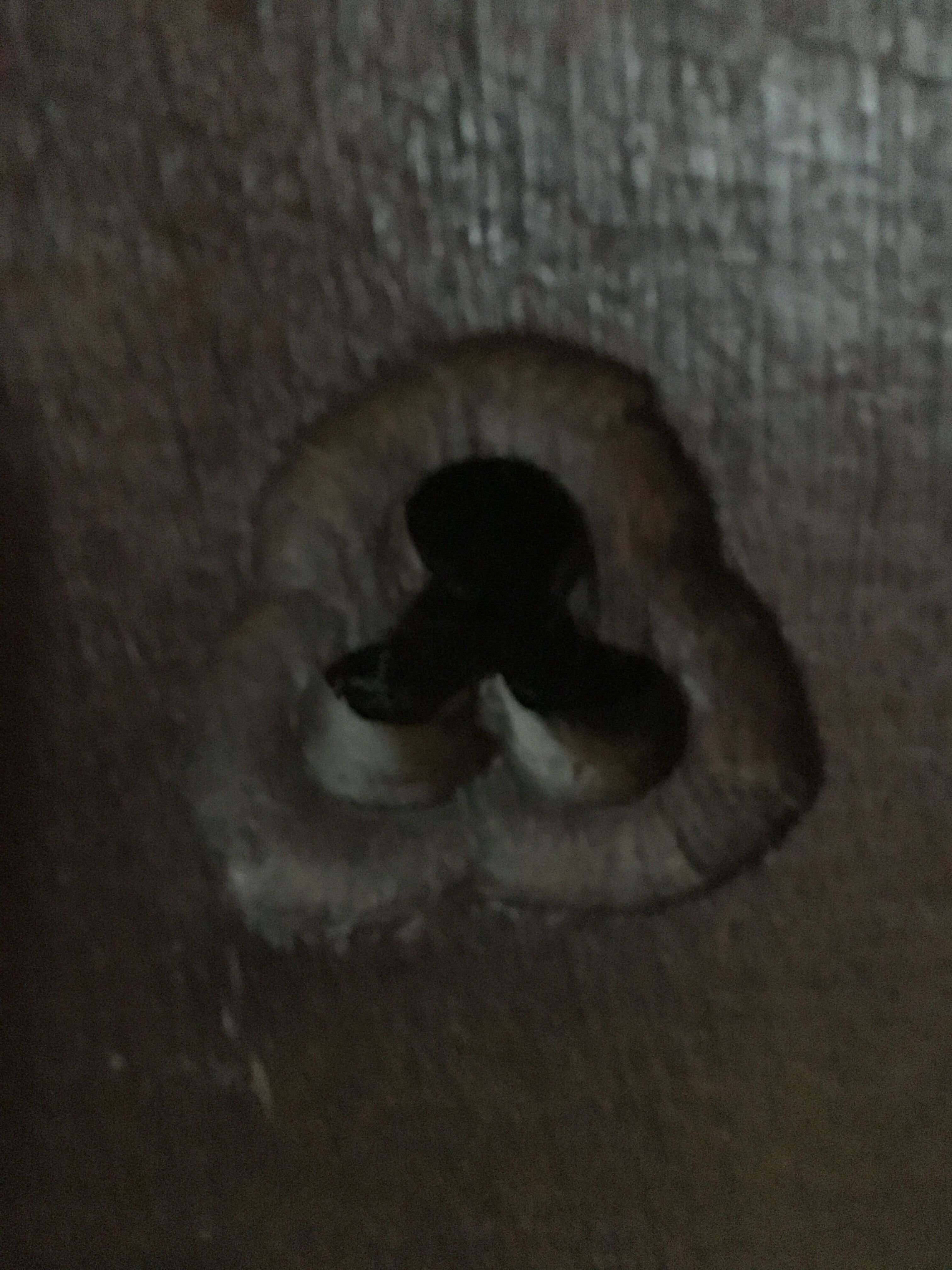 Medieval castle stool