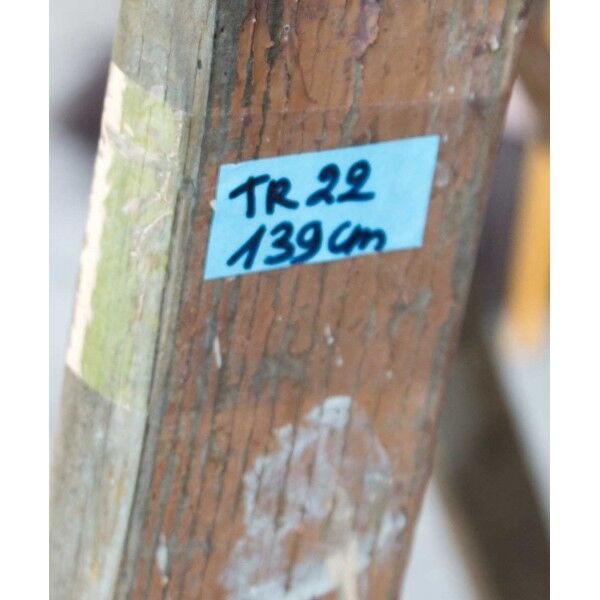 Decorative wooden scale 139 cm