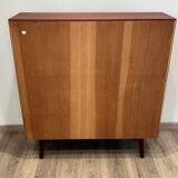 Scandinavian library in rosewood