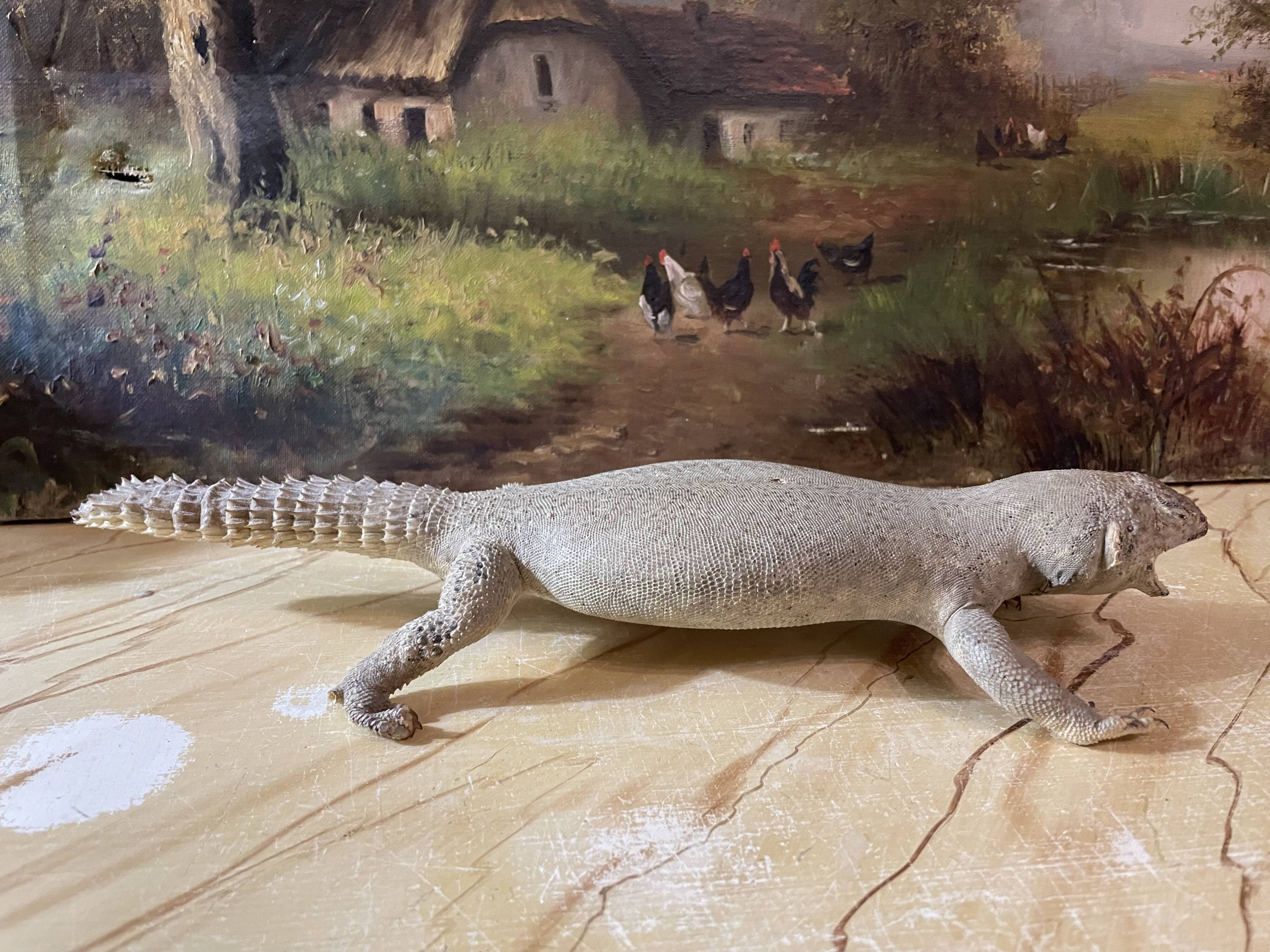 Ancient naturalized lizard