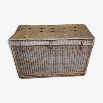 Wicker trunk