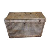 Wicker trunk
