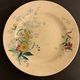 12 old polychrome flat plates Jules Vieillard Bordeaux, 19th century