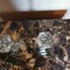 Pair of antique candle holders in transparent glass