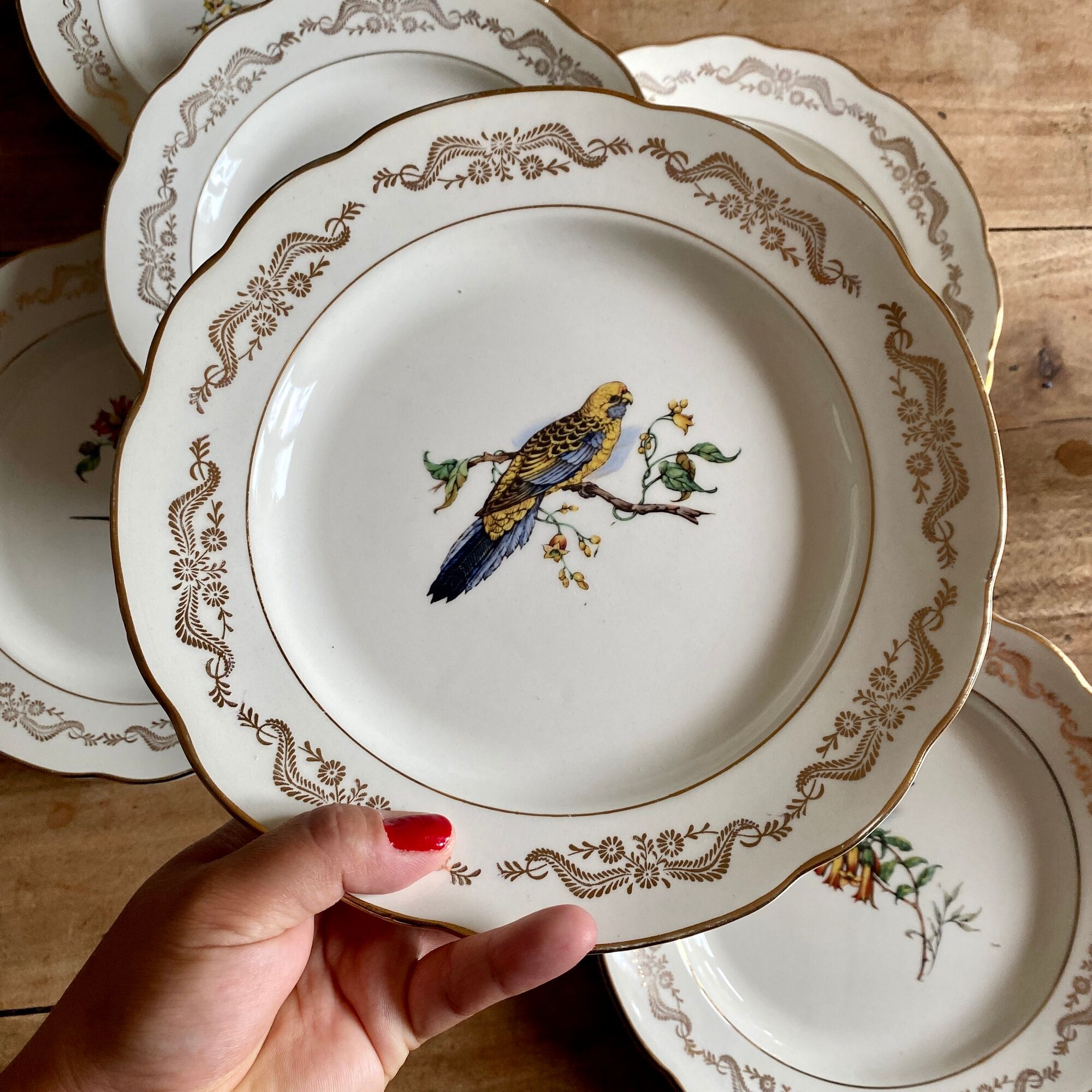 Set of 6 vintage flat plates, model Moineaux de Paris de Gien