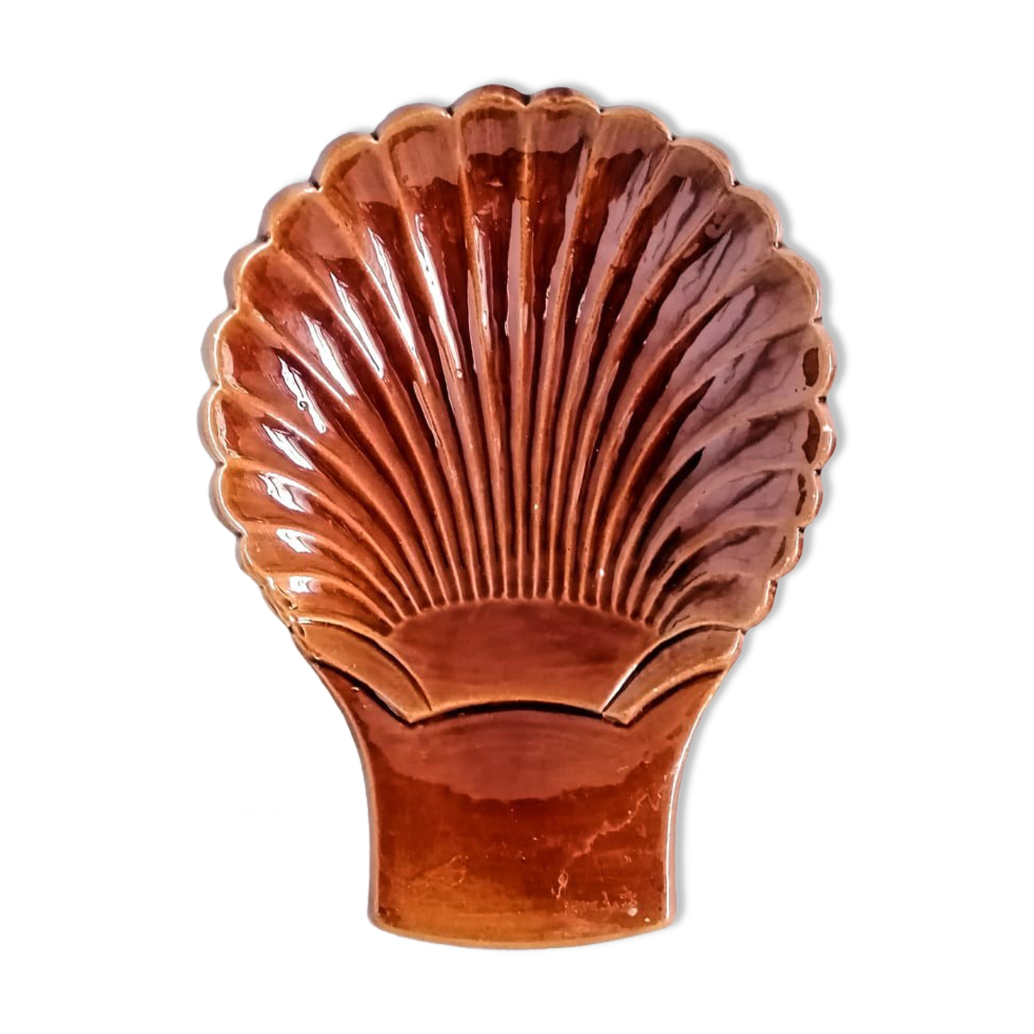 Empty pocket shell pottery sars
