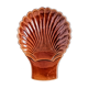Empty pocket shell pottery sars