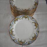 Service with old dessert, main course and 12 plates, porcelain from Limoges