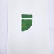 Green geometric minimalist painting