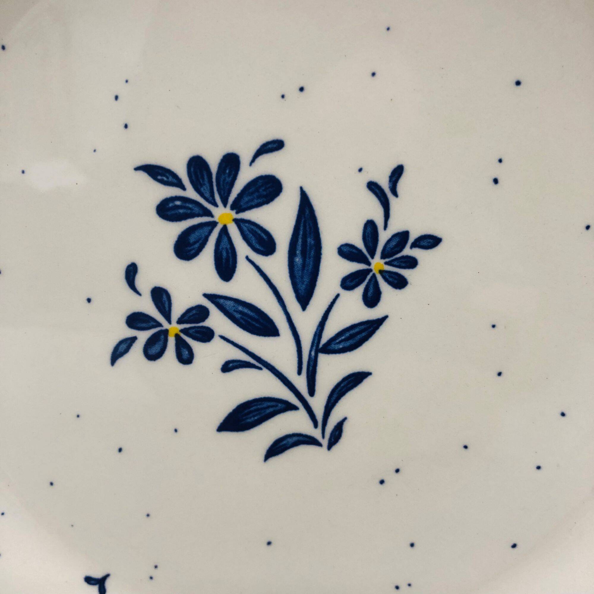 6 dessert plates, "Staffordshire" (England).
